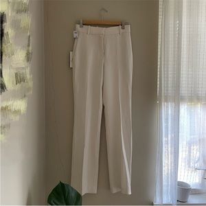 Aritzia Publish Pants NWT